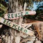 découvrez l'importance du recyclage pour préserver l'environnement et réduire les déchets. adoptez des gestes simples pour un avenir plus durable.