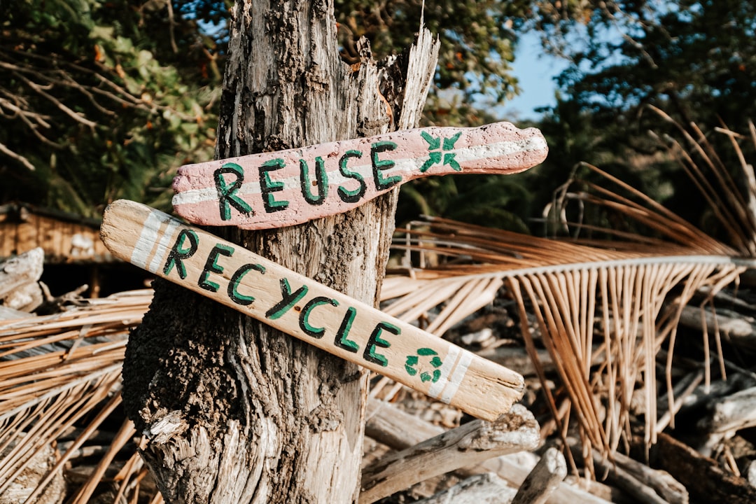 découvrez l'importance du recyclage pour préserver l'environnement et réduire les déchets. adoptez des gestes simples pour un avenir plus durable.