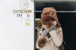 découvrez nos produits fur-free, sans utilisation de fourrure animale, alliant éthique et style pour une mode responsable et respectueuse des animaux.