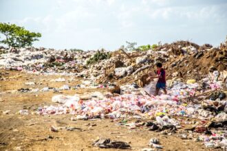 découvrez le rôle essentiel des ramasseurs de déchets dans la gestion des déchets et la protection de l'environnement.