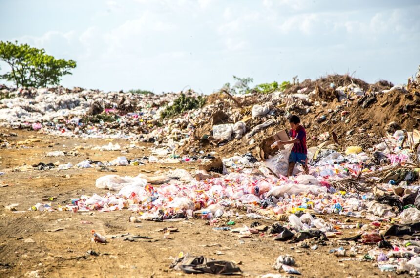 découvrez le rôle essentiel des ramasseurs de déchets dans la gestion des déchets et la protection de l'environnement.
