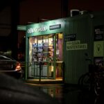 découvrez comment pratiquer le shopping éthique en choisissant des produits respectueux de l'environnement et des droits humains pour un avenir durable.