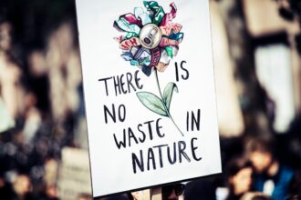 découvrez la révolution durable : des solutions innovantes pour un avenir respectueux de l'environnement et économiquement viable.
