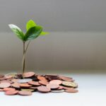 découvrez les meilleures stratégies d'investissement pour faire fructifier votre patrimoine et sécuriser votre avenir financier.