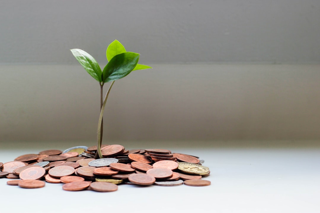 découvrez les meilleures stratégies d'investissement pour faire fructifier votre patrimoine et sécuriser votre avenir financier.