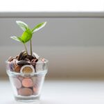 découvrez les meilleures stratégies d'investissement pour optimiser vos finances et assurer votre avenir financier.