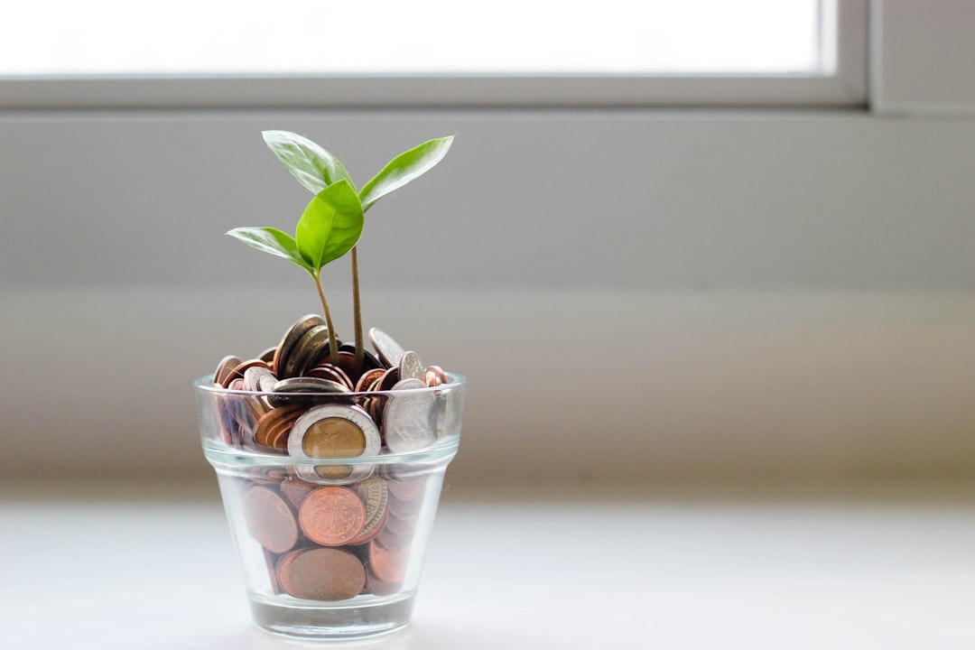 découvrez les meilleures stratégies d'investissement pour optimiser vos finances et assurer votre avenir financier.